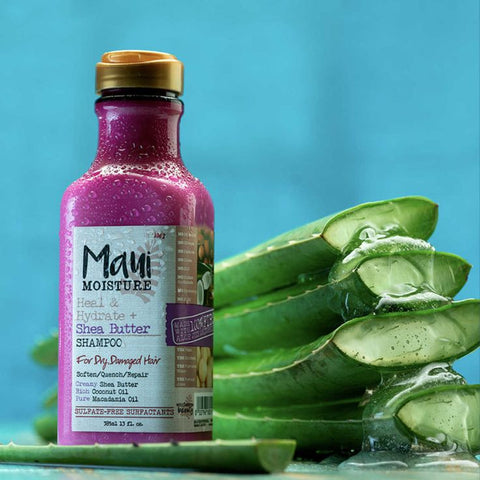 Maui Moisture chez Haytam Parfumerie : Une Révolution Capillaire au Cœur du Maroc
