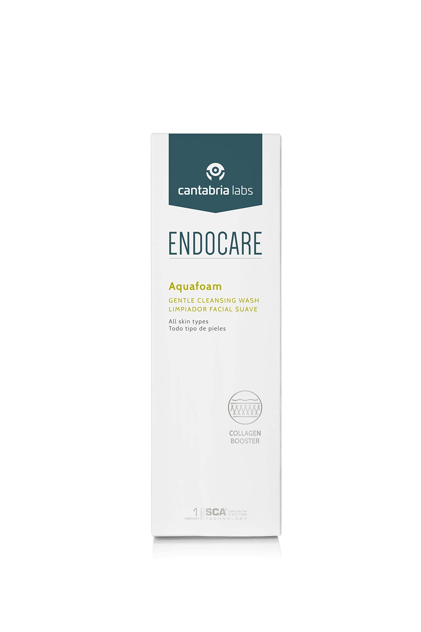 ENDOCARE ESSENTIAL Aquafoam