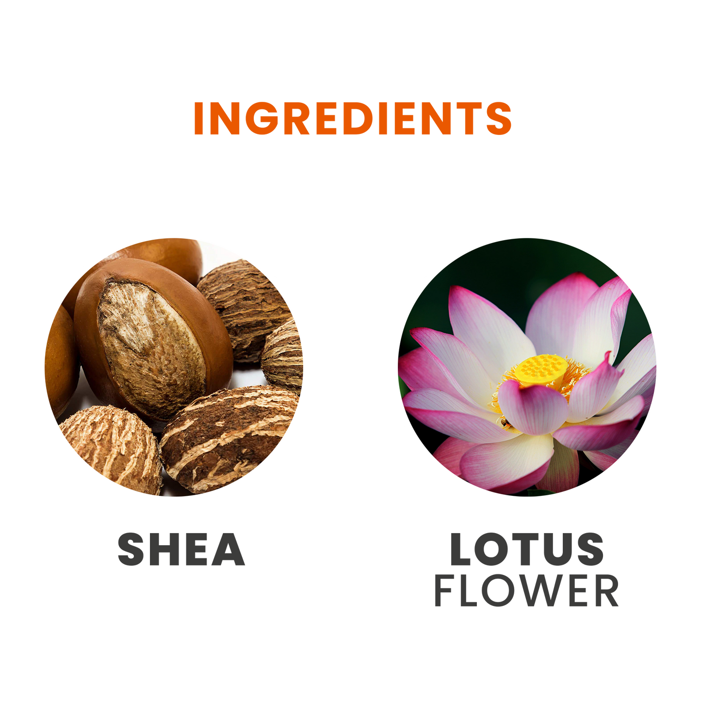 Tesori d'Oriente Lotus Flower Eau de Toilette