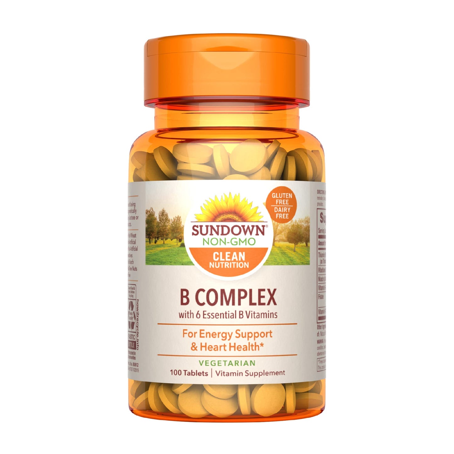 Sundown Vitamin B Complex 100% RDV, 100 Tablets