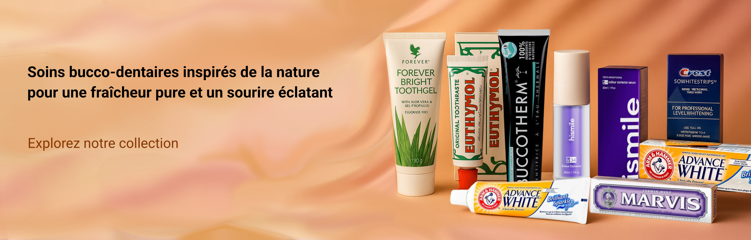 Soins Dentaires Banner