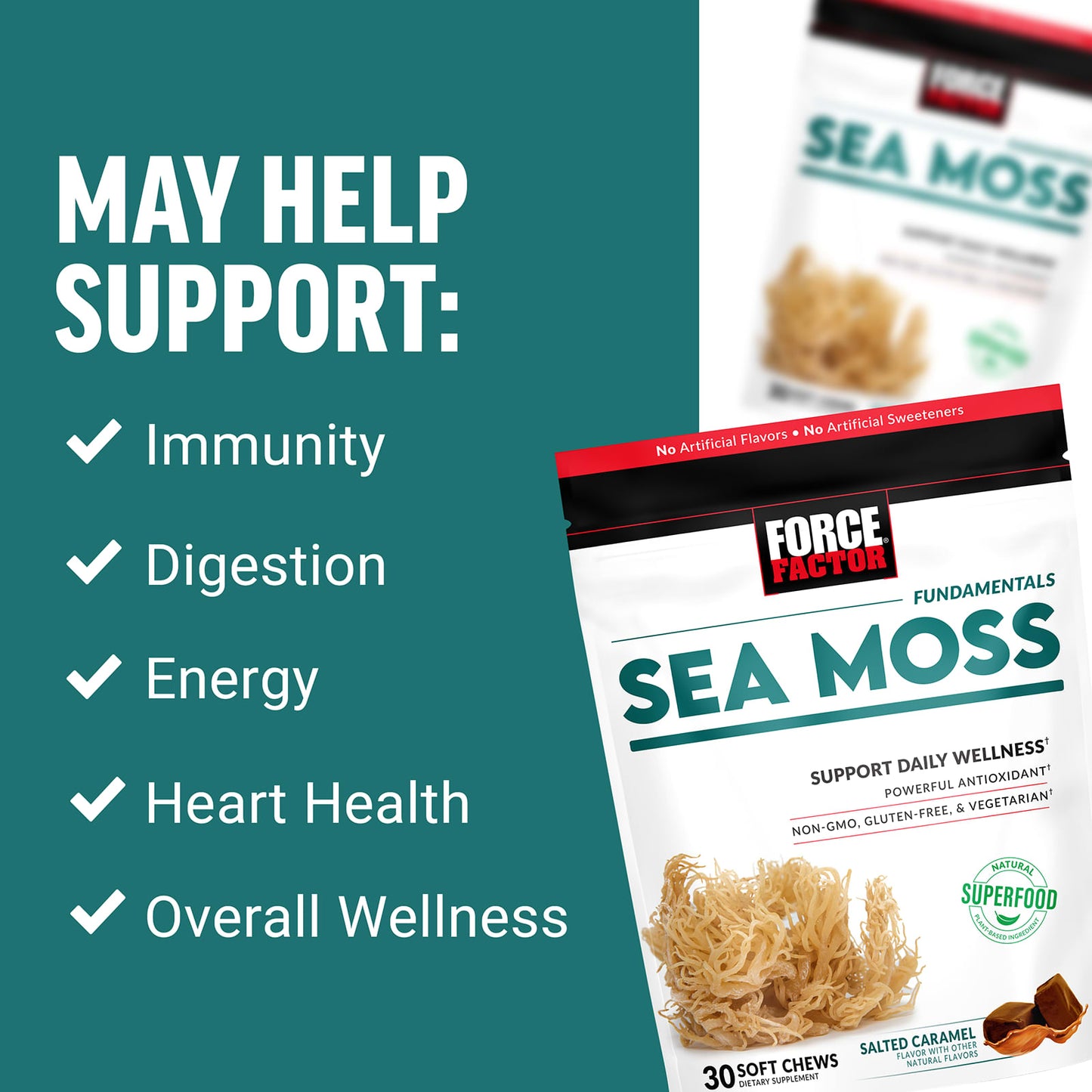 Force Factor Fundamentals Sea Moss – Salted Caramel