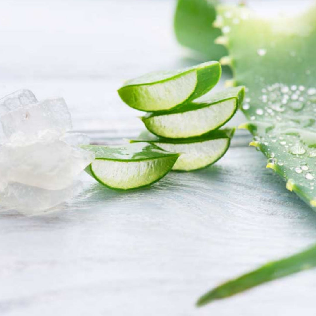 Rose Baie Shampoing Kératine x Aloe Vera